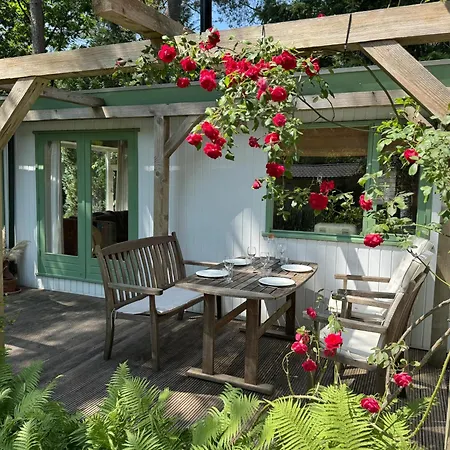 Alpehytte Peaceful Forestpark, Bikes Included, Pool, Dog Welcome *