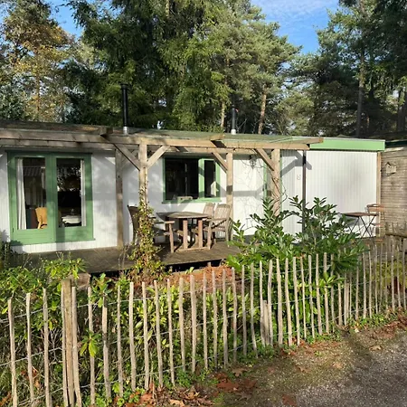 Alpehytte Peaceful Forestpark, Bikes Included, Pool, Dog Welcome Doornspijk